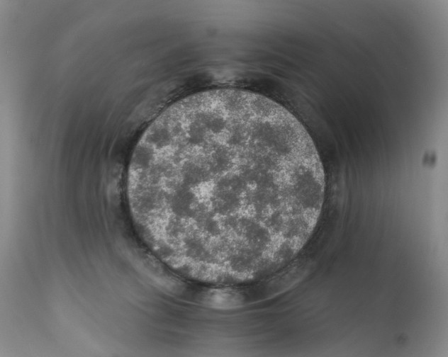 X0000110890275200907161533