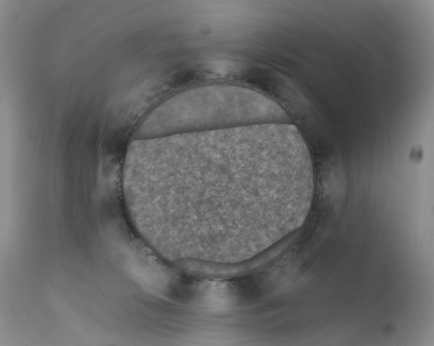 X0000110890276200907161533