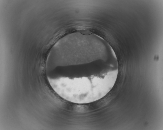 X0000110890277200907161533