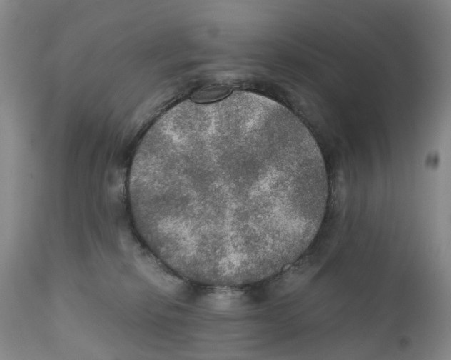 X0000110890278200907161533