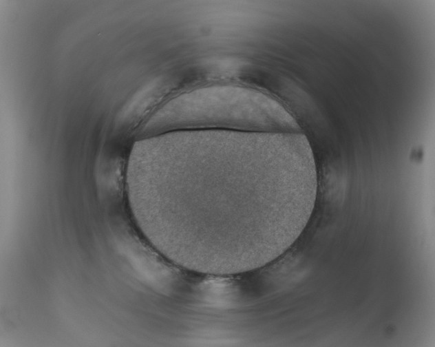 X0000110890280200907161533