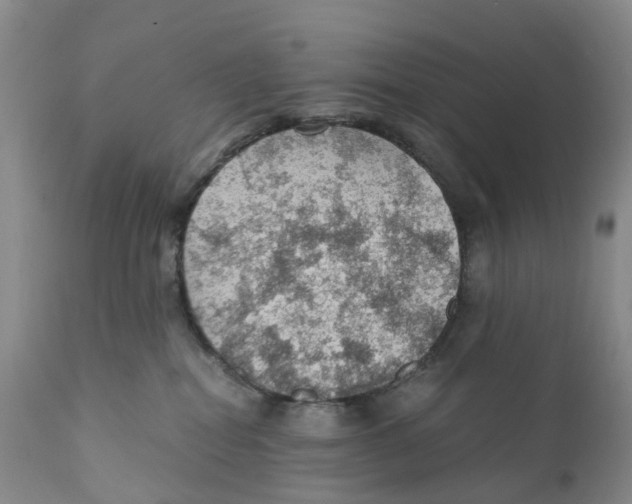 X0000110890282200907161533