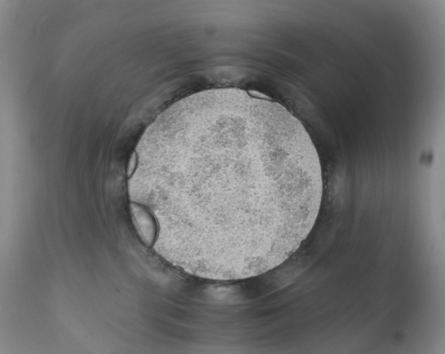 X0000110890283200907161533