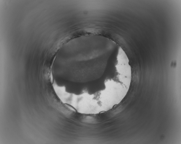 X0000110890285200907161533