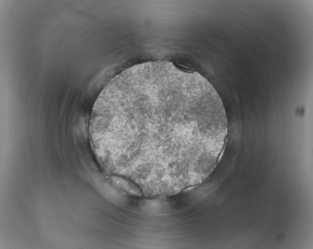 X0000110890286200907161533