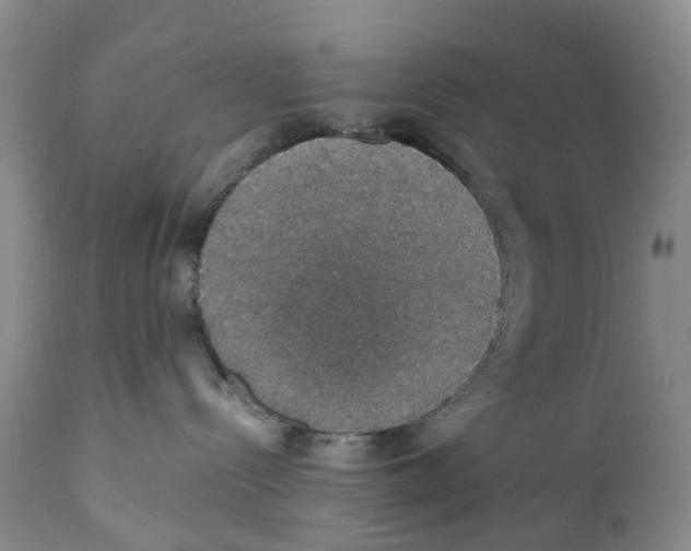 X0000110890288200907161533