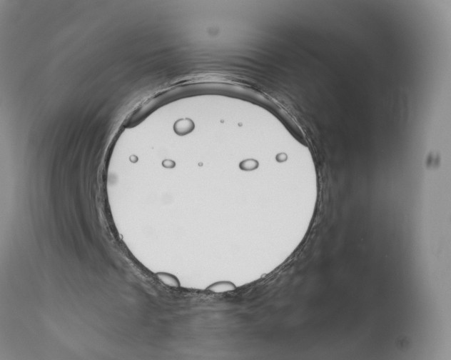 X0000110890289200907161532