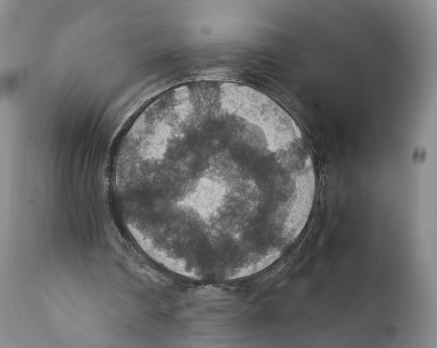 X0000110890290200907161532