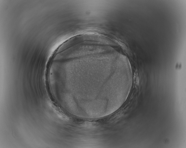 X0000110890292200907161532
