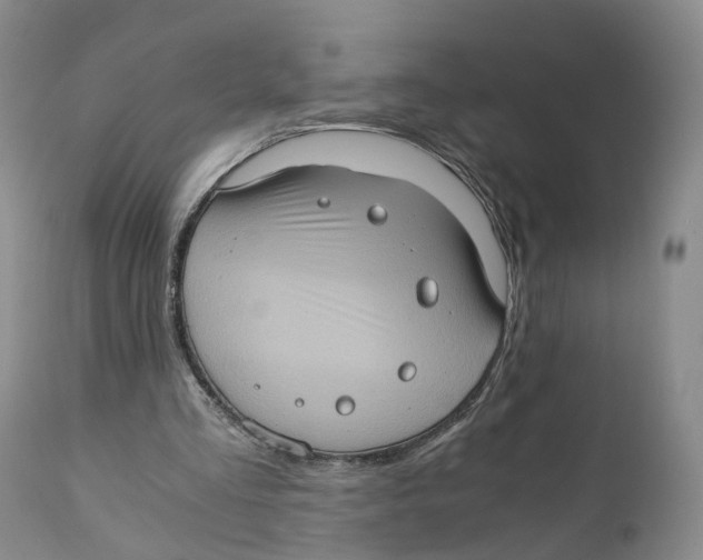 X0000110890293200907161532