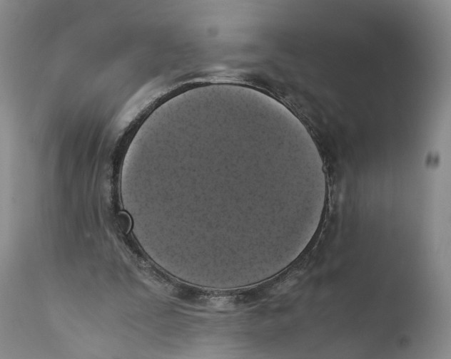 X0000110890295200907161532