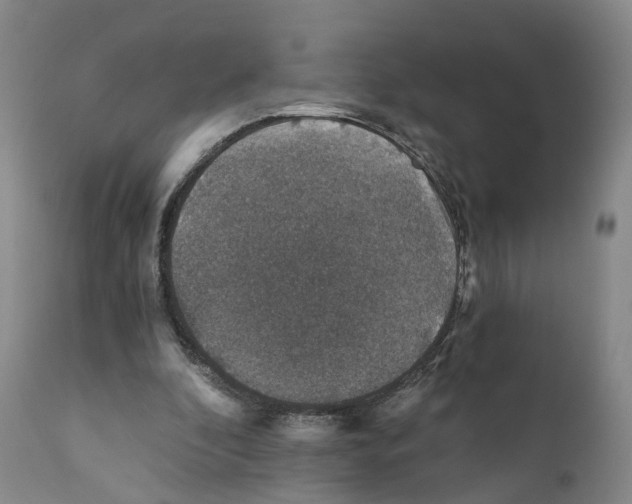 X0000110890296200907161532