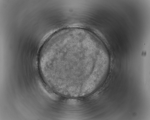 X0000110890298200907161532
