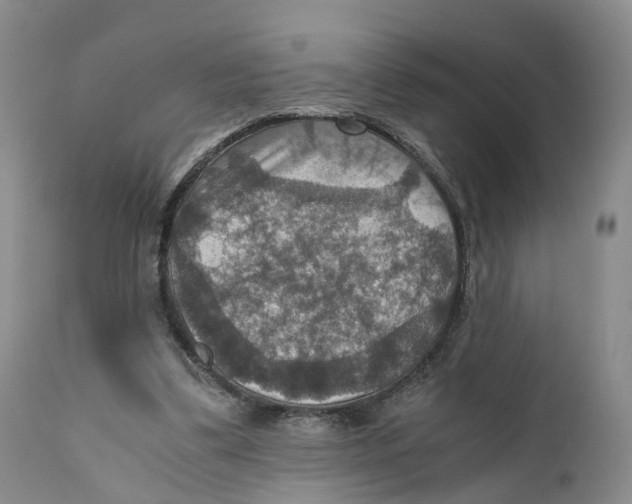 X0000110890299200907161532