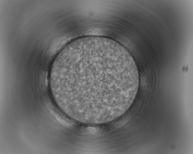 X0000110890302200907161532
