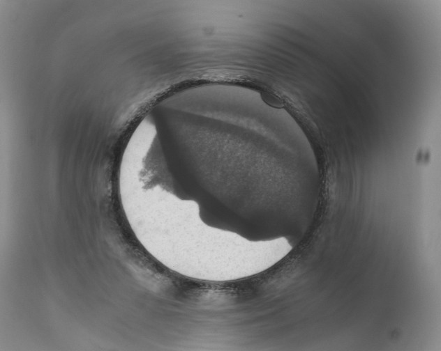 X0000110890303200907161532