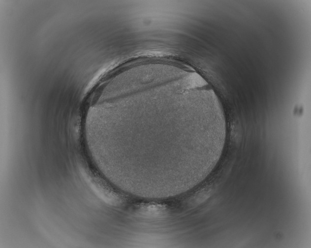 X0000110890304200907161532