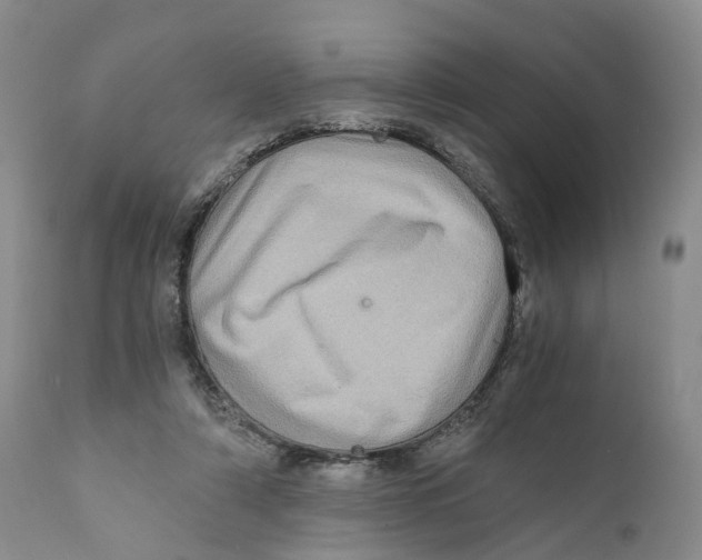X0000110890306200907161532
