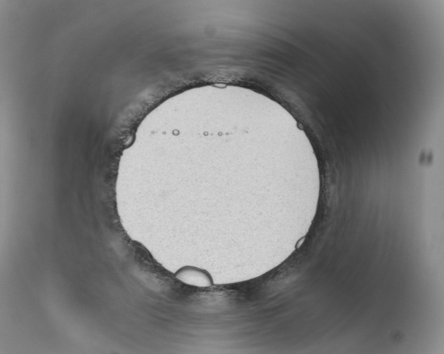 X0000110890307200907161532