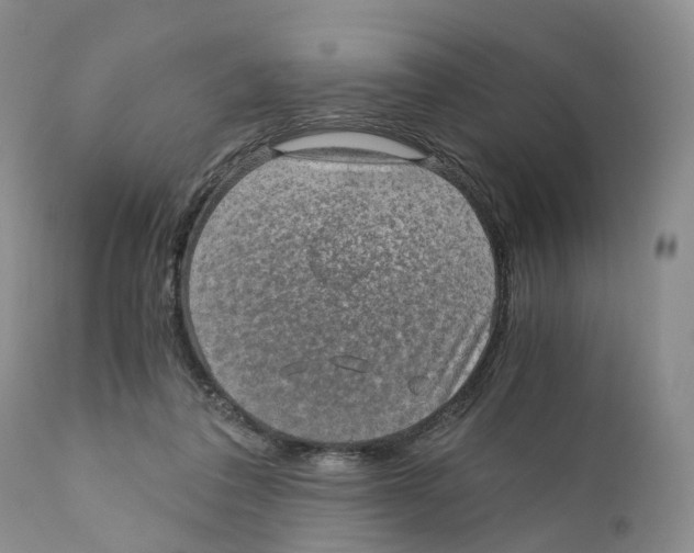 X0000110890308200907161532