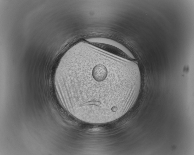 X0000110890312200907161532