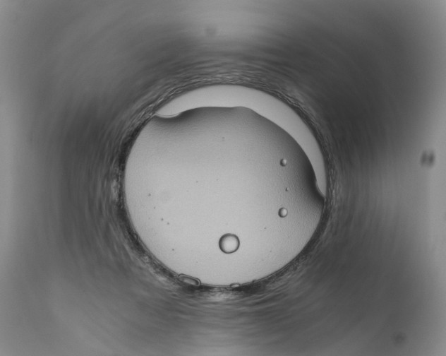 X0000110890313200907161532
