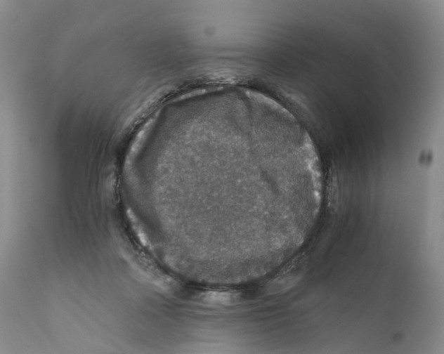 X0000110890314200907161532