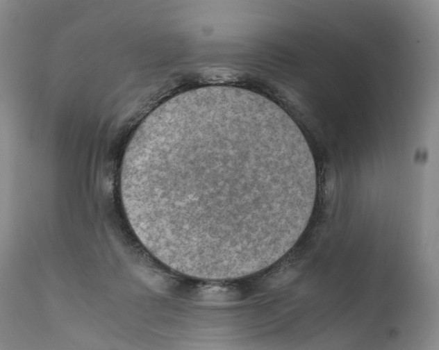 X0000110890315200907161532