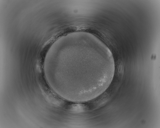 X0000110890316200907161532