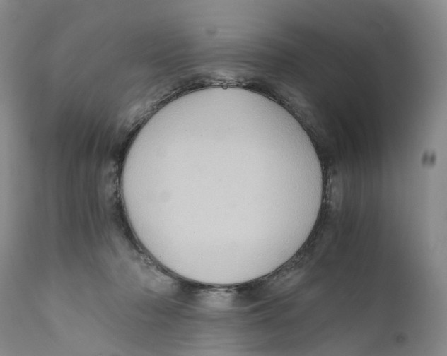 X0000110890318200907161532