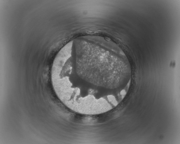 X0000110890319200907161532