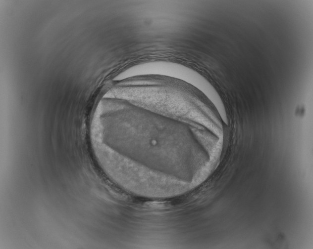 X0000110890320200907161532
