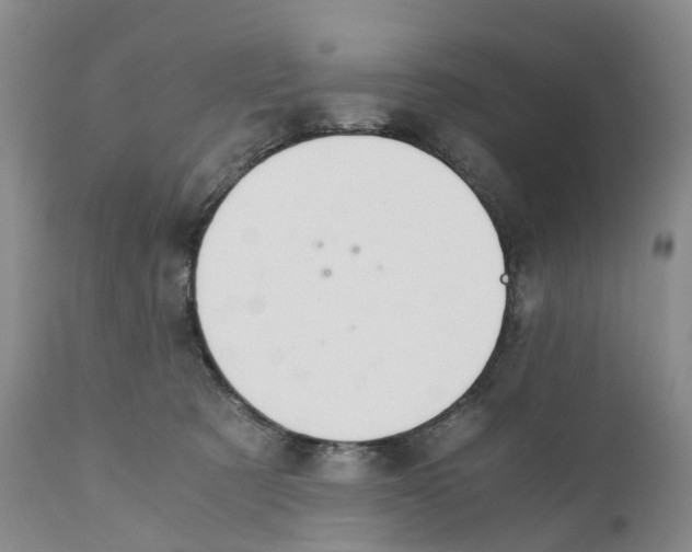 X0000110890321200907161532