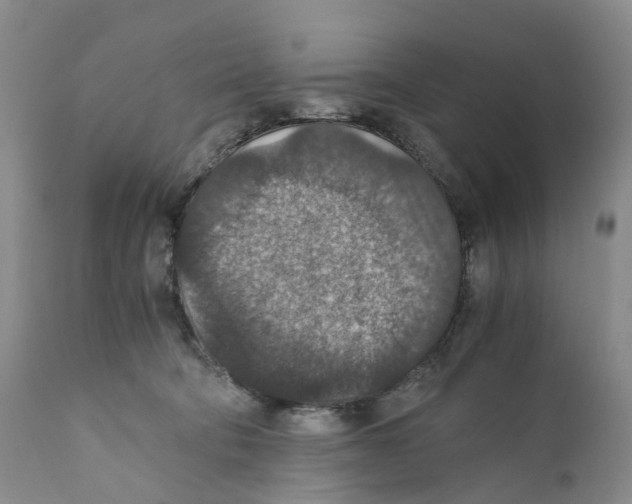 X0000110890322200907161532
