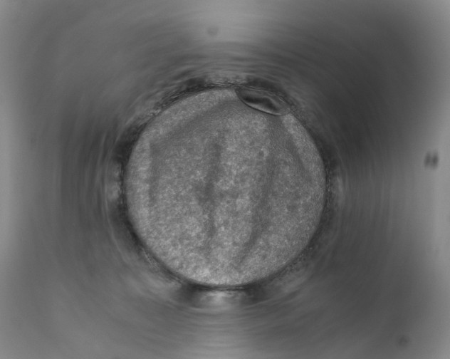 X0000110890323200907161532