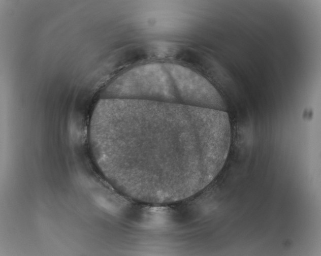 X0000110890324200907161532