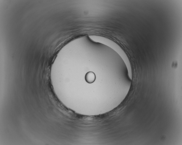 X0000110890325200907161532