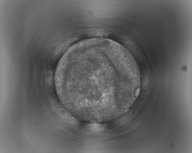 X0000110890326200907161532