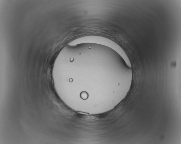 X0000110890327200907161531