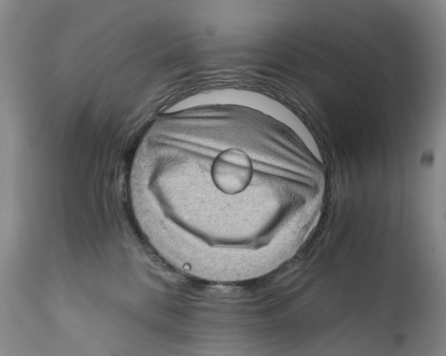 X0000110890328200907161531