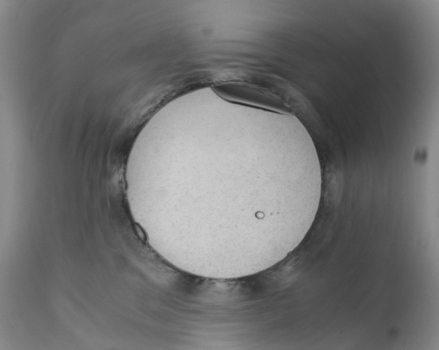 X0000110890329200907161531