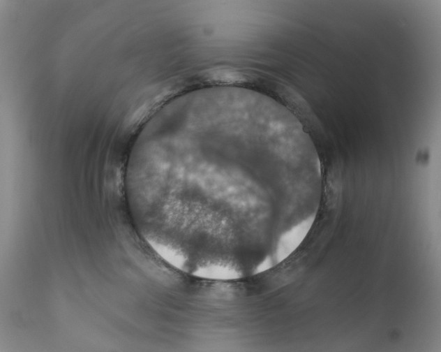X0000110890330200907161531