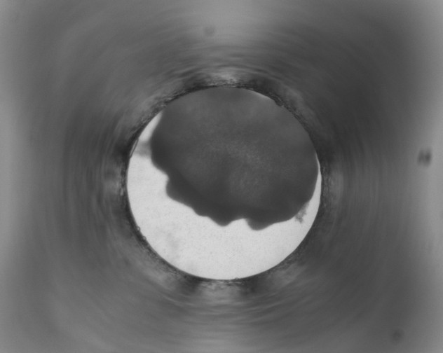 X0000110890331200907161531