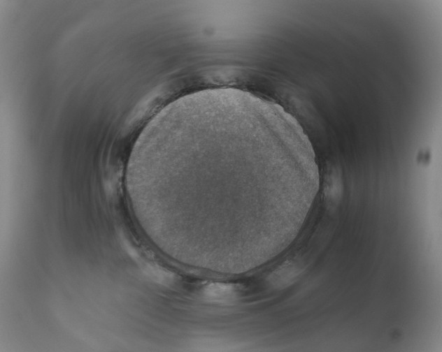 X0000110890332200907161531