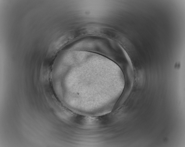 X0000110890333200907161531