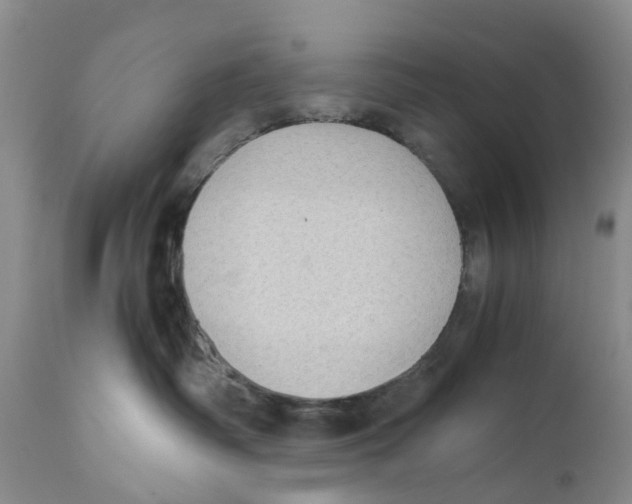 X0000110890334200907161531