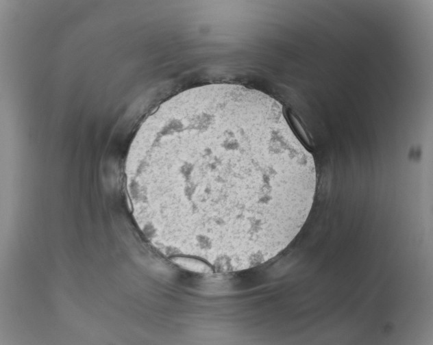 X0000110890335200907161531