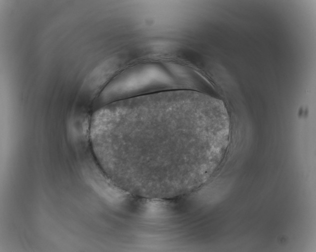 X0000110890336200907161531