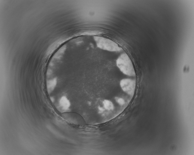 X0000110890337200907161531