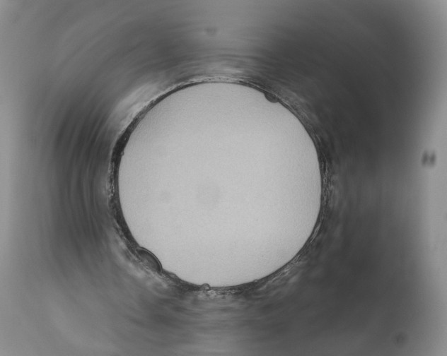 X0000110890338200907161531